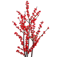 Илекс - соберите букет