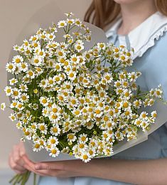 Букет из 7 кустовых ромашек