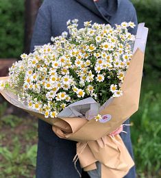 Букет "Ромашковый"