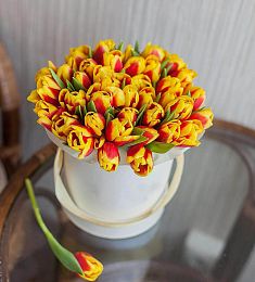 51 желто красный тюльпан в коробке