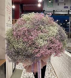 Самый большой букет из гипсофилы 