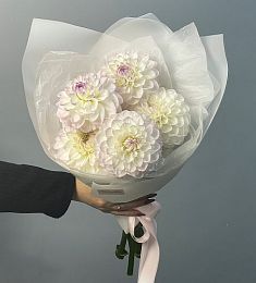 Букет из 5 георгинов