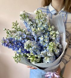 Букет из 17 дельфиниумов