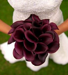 Букет невесты из 25 бордовых калл