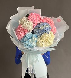 Букет из 7 Гортензий МОНО Микс