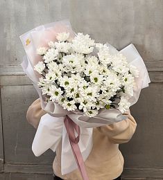 Букет из 13 ромашковидных хризантем