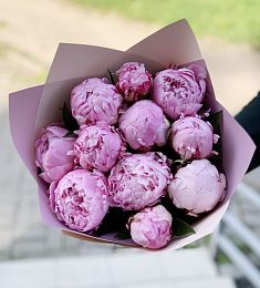 11 розовых голландских пионов в минималистичном оформлении