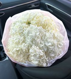 Букет из 5 белоснежных гортензий в оформлении