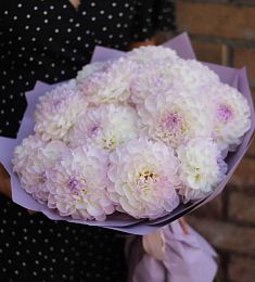 Букет из 15 нежных георгинов