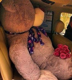 Мишка Тедди