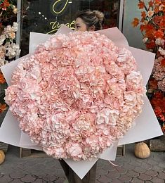 Букет "Розовое облачко" из 47 королевских гортензий