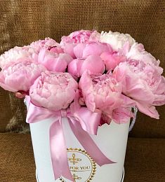 15 голландских пионов в коробку