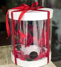 Композиции в прозрачной коробке