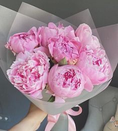 Букет из 7  голландских пионов в матовом оформлении