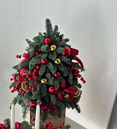 Ёлка в кашпо "Морозная гармония" из нобилиса с красными игрушками