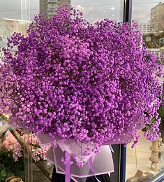 Букет из 25 фиолетовых гипсофил