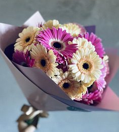 Букет из 21 фиолетовой и кремовой герберы