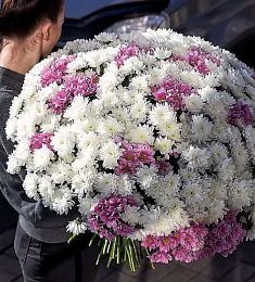 Букет из 101 кустовой хризантемы балтика