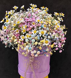 Композиция "Ричард" из ромашки и гипсофилы в коробке