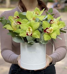 Композиция " To my lady" из орхидей в коробке