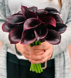 Букет невесты из 23 черных калл 