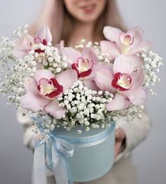 Букет "Мамуле" из орхидей и гипсофил в коробке