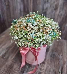 9 разноцветных гипсофил в коробке