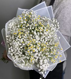 Букет "Димея" с гипсофилой и кустовой ромашкой 
