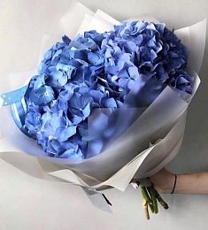 3 синие гортензии в оформлении