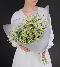 Букет из 7 кустовых ромашек