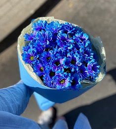 Букет из 5 синих кустовых хризантем