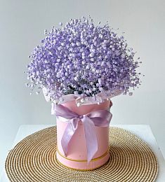 Букет в коробке "Мисикс" с фиолетовой гипсофилой