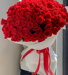 101 красная голландская роза 100 см в рогожке