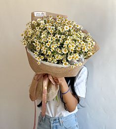 Букет "Свити" из кустовой ромашки