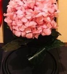 Стабилизированная композиция "Древо надежды"