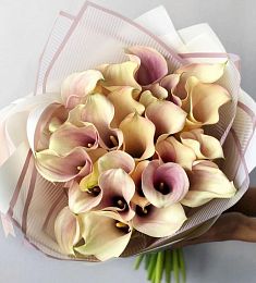 Букет из 29 кремовых калл