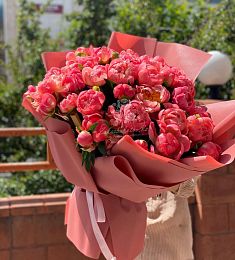 Букет из 51  пиона