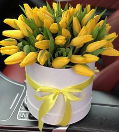 51 желтый тюльпан в коробке