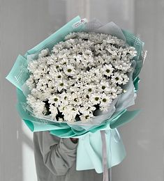 Букет «Мальвина» из ромашковидных хризантем 