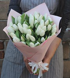 51 белый тюльпан в оформлении