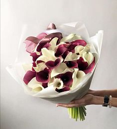 Букет из 31 белой и красной каллы 