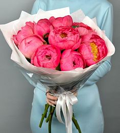 Букет из 9 коралловых голландских пионов