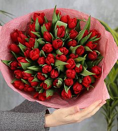 Букет из 51 красных тюльпанов "Season of Us"