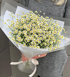 Букет из 15 кустовых ромашек