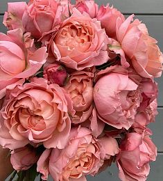 Спрей роза пионовидная - соберите букет