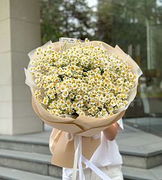 Букет" Летний бриз" из кустовых ромашек