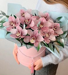 9 орхидей с рускусом в коробке