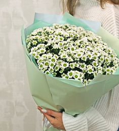 Букет из 25  белых кустовых хризантем сантини в оформлении