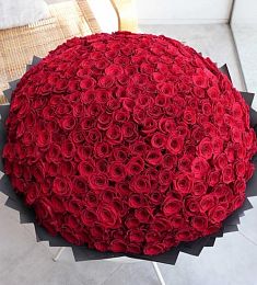 Большой букет роз (365 шт)