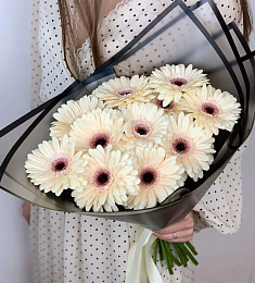 Букет из 11 гербер